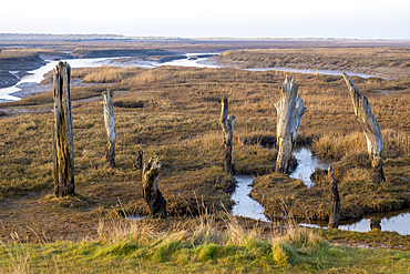 Timber circle in the marshy landscape near Thornham in North Norfolk