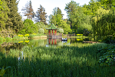 Lake and pavilion in the exotic Himalayan Gardens and Sculpture Park in a secluded valley in the county of Yorkshire, between Masham and Ripon.