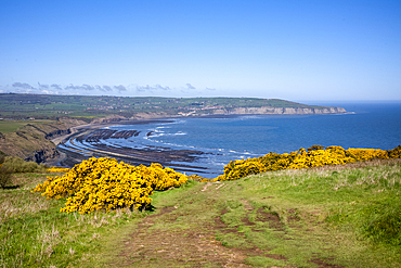 Ravenscar's rocky beach on the Yorkshire coast.