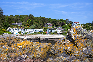 Row of houses facing the Rocky beach in Rockcliffe.