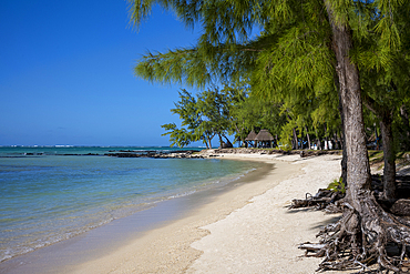 Beautiful beach and calm, clear water at Ile aux Cerfs on the exotic island of Mauritius in the Indian Ocean