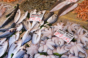 Fish stall in street market, Ortygia, Syracuse, Sicily, Italy, Europe