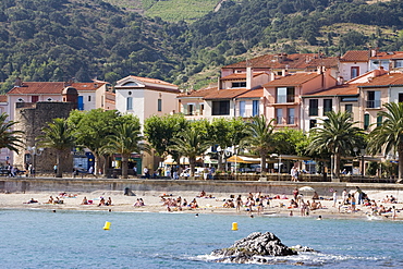 Plage de Port d'Avall, Collioure, Pyrenees-Orientales, Languedoc, France, Europe