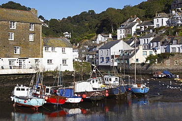 Polperro, Cornwall, England, United Kingdom, Europe