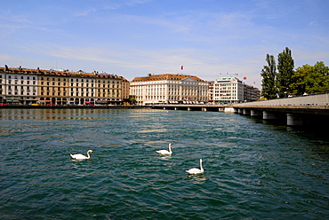 Buidings on the waterside, Geneva, Switzerland, Europe