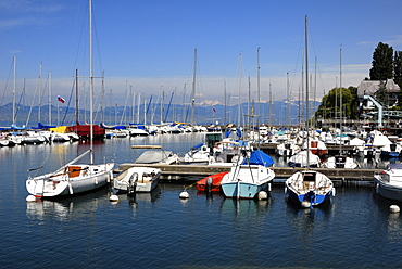 Port des Mouettes, Lac Leman (Lake Geneva), Evian-les Bains, Haute-Savoie, France, Europe