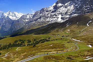 Train from Grindelwald on route to Kleine Scheidegg, Bernese Oberland, Swiss Alps, Switzerland, Europe