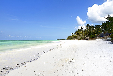 Bwejuu Beach, Zanzibar, Tanzania, East Africa, Africa 