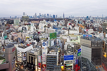 Elevated view of Shinjuku skyline viewed from Shibuya, Tokyo, Japan, Asia