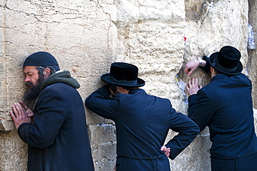 Men praying at the Wailing Wall, Jewish Quarter of the Western Wall Plaza, Old City, Jerusalem, Israel, Middle East