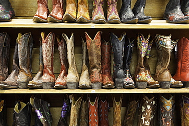 Cowboy boots lining the shelves, Austin, Texas, United States of America, North America