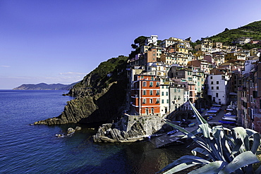 Clifftop village of Riomaggiore, Cinque Terre, UNESCO World Heritage Site, Liguria, Italy, Europe