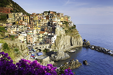 Manarola, Cinque Terre, UNESCO World Heritage Site, Liguria, Italy, Europe