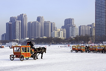 A carriage on the icebound Songhua River in Harbin, Heilongjiang, China, Asia