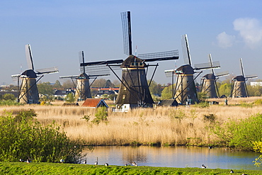 Windmills, Kinderdijk, UNESCO World Heritage Site, Netherlands, Europe