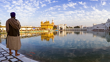 Sikh man at The Golden Temple (Harmandir Sahib) and Amrit Sarovar (Pool of Nectar) (Lake of Nectar), Amritsar, Punjab, India, Asia