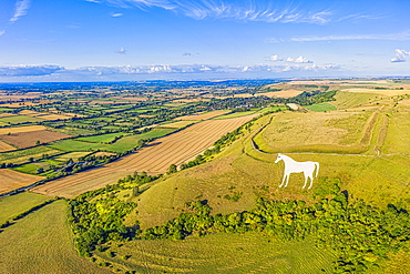 Aerial view of the famous White Horse below Bratton Camp, an Iron Age hillfort near Westbury, Wiltshire, England, United Kingdom, Europe