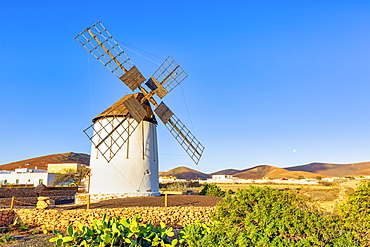 Tiscamanita, traditional windmill, Fuerteventura, Canary Islands, Spain, Atlantic, Europe