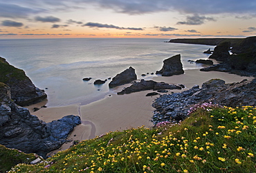 Spring wildflowers on the clifftops overlooking Bedruthan Steps, North Cornwall, England, United Kingdom, Europe