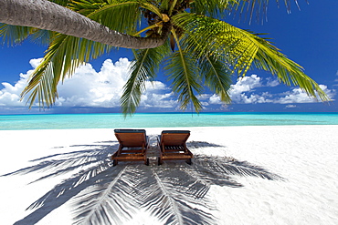 Two deck chairs under palm trees and tropical beach, The Maldives, Indian Ocean, Asia