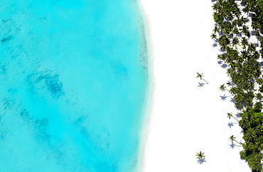 Aerial view of tropical beach and lagoon, The Maldives, Indian Ocean, Asia