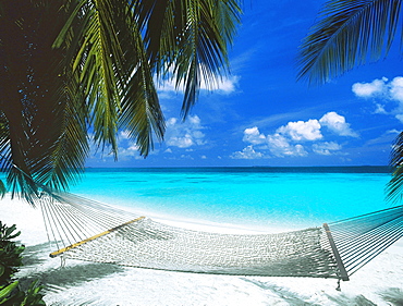 Desert island and hammock on the beach, Maldives, Indian Ocean, Asia