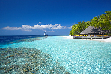 Terrace and tropical beach, The Maldives, Indian Ocean, Asia