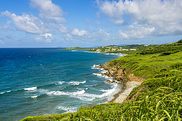 Coast of Saint Croix, US Virgin Islands