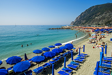 Beach umbrellas lining the beach in Monterosso al Mare, Cinque Terre, UNESCO World Heritage Site, Liguria, Italy, Europe