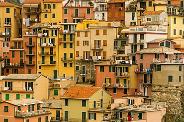 Manarola, Cinque Terre, UNESCO World Heritage Site, Liguria, Italy, Europe