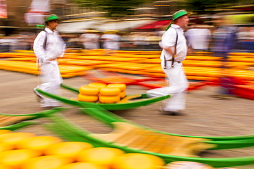 Alkmaar cheese market, Alkmaar, North Holland, Netherlands, Europe