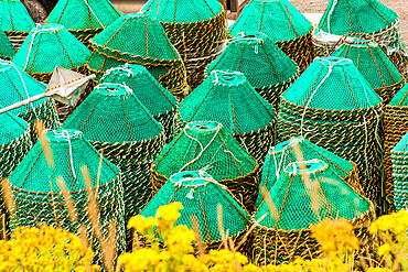 Crab nets pots, Grates Cove, Newfoundland, Canada, North America