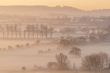 Mist shrouded countryside at dawn in winter, near Glastonbury, Somerset, England, United Kingdom, Europe