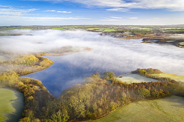 View by drone of morning mist in winter over Roadford Lake in Devon, England, United Kingdom, Europe