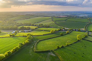 Verdant spring countryside in evening sunlight, Livaton, Devon, England, United Kingdom, Europe