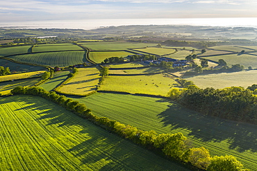 Verdant rolling countryside surrounding Livaton Farm, South Tawton, Devon, England, United Kingdom, Europe