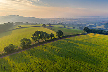 Aerial view of rolling countryside at dawn on a hazy summer day, Devon, England, United Kingdom, Europe