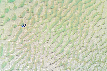 Aerial vista of people standing on the Doom Bar at low tide, Camel Estuary, Padstow, Cornwall, England, United Kingdom, Europe