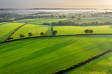 Aerial vista of rolling Devon countryside near Spreyton in autumn, Devon, England, United Kingdom, Europe