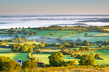 Mist shrouded rolling countryside at dawn, Brentor, Dartmoor National Park, Devon, England, United Kingdom, Europe