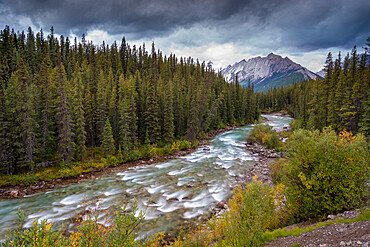 The Maligne River meandering through the Canadian Rockies, Jasper National Park, UNESCO World Heritage Site, Alberta, Canada, North America