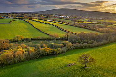 Rolling Dartmoor countryside in evening light in spring, Devon, England, United Kingdom, Europe