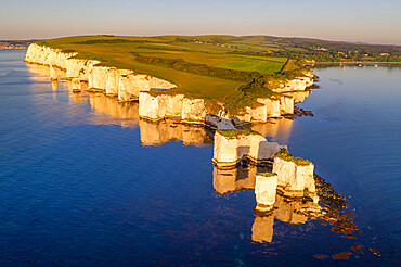 Aerial view of Old Harry Rocks on the Jurassic Coast, UNESCO World Heritage Site, Studland, Dorset, England, United Kingdom, Europe