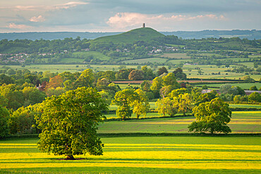 Rural countryside of the Somerset Levels in summer near Glastonbury Tor, Somerset, England, United Kingdom, Europe