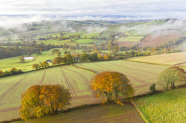 Rolling autumnal countryside from Cadbury Castle, Devon, England, United Kingdom, Europe