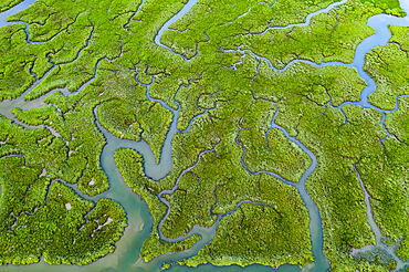 Aerial view of salt marshes on the Camel Estuary in summer, Wadebridge, Cornwall, England, United Kingdom, Europe