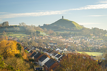 Glastonbury Tor overlooking the town of Glastonbury from Wearyall Hill, in winter, Glastonbury, Somerset, England, United Kingdom, Europe