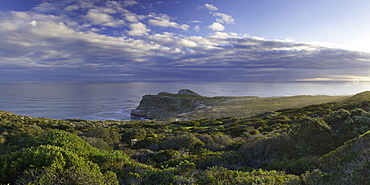 Cape of Good Hope, Cape Point National Park, Cape Town, Western Cape, South Africa, Africa