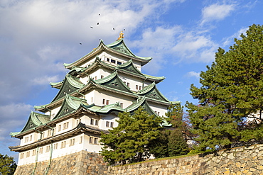 Nagoya Castle, Nagoya, Honshu, Japan, Asia