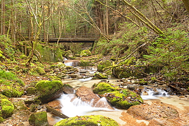 Stream through forest on Nakasendo Way, Magome, Gifu Prefecture, Honshu, Japan, Asia